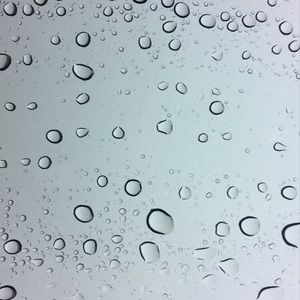 Meet your Posher, Abigail